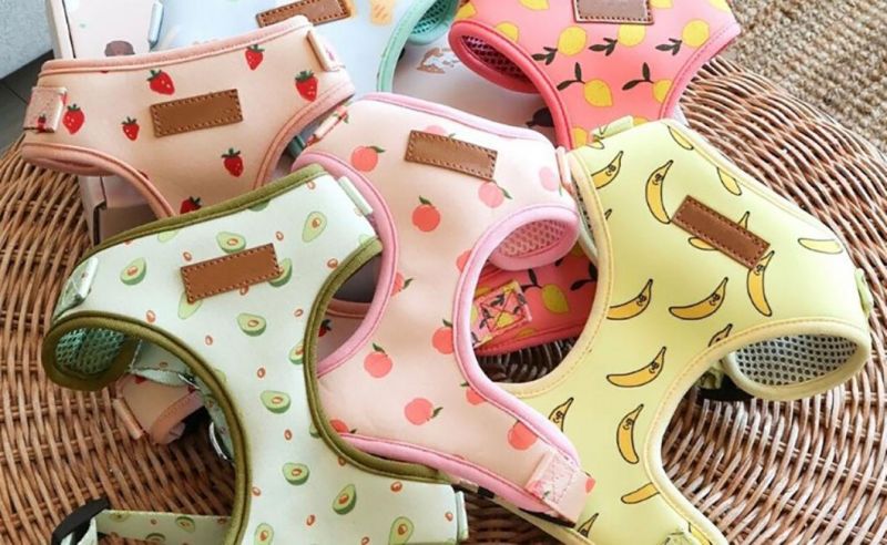 2022 Free Sample Customized Designs Pet Harnesses Dog Vest Harness Dog Harness and Leash Luxury Designer Wholesale Custom Dog Harness