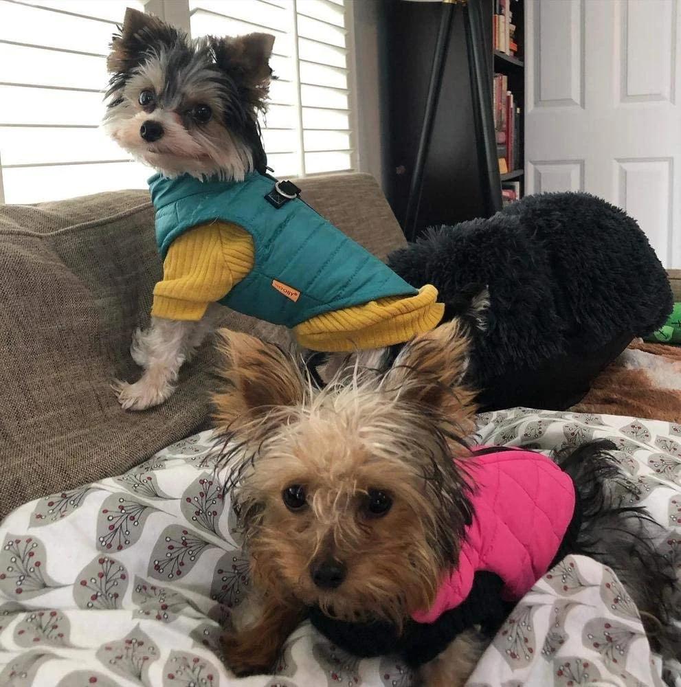 Ultra Thin Water Resistant Zip up Dog Jacket