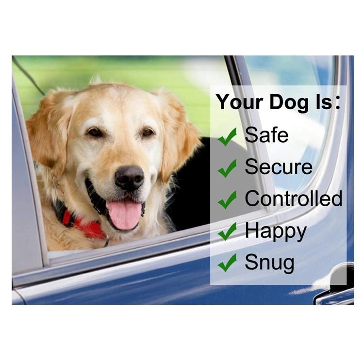 Adjustable Nylon Dog Cat Safety Seat Belt and Dog Leash