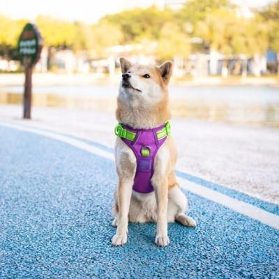 Pet Supplier Upgrade No Pull Dog Harness Adjustable Soft Padded Harness Dog with Quick Release Neck Buckle