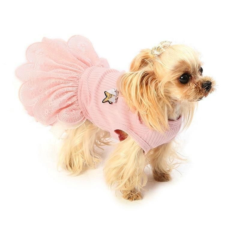 Wholesale OEM Custom Autumn Dog Pet Clothes Accessories