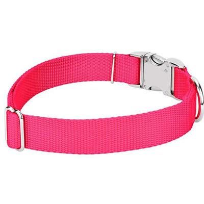 OEM Factory Price Multicolor Perosnal Logo All Season Nylon Pet Collar