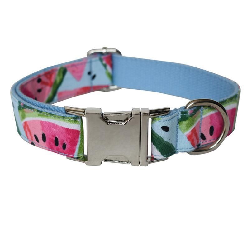 Dog Collar Pet Funny Adjustable Collars with Cute Leash for Small Medium Large Dogs Cats Collars Set