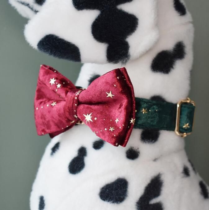 Velvet Dog Collar and Leash Set, Soft Dog Collar and Leash, Adjustable Collars for Dogs