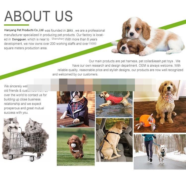 OEM/ODM Dog Products Sublimation Print Pet Harness Leash Treat Bag Accessories Set Custom Logo Pet Supply Dog Chest Harness