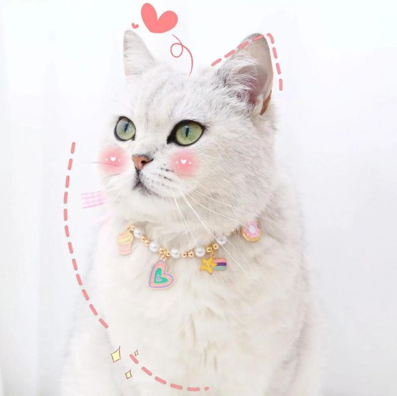 Cute Pearl Adjustable Collar Cat Rabbit Dogs Tag Necklaces Pendants for Women Bow Pet Accessories