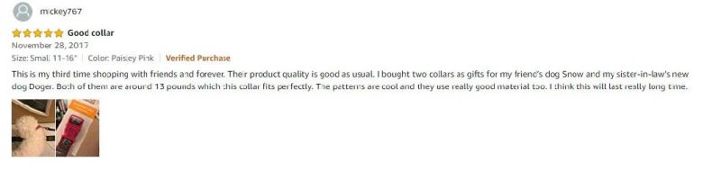 Durable Solid Nylon Dog Collars