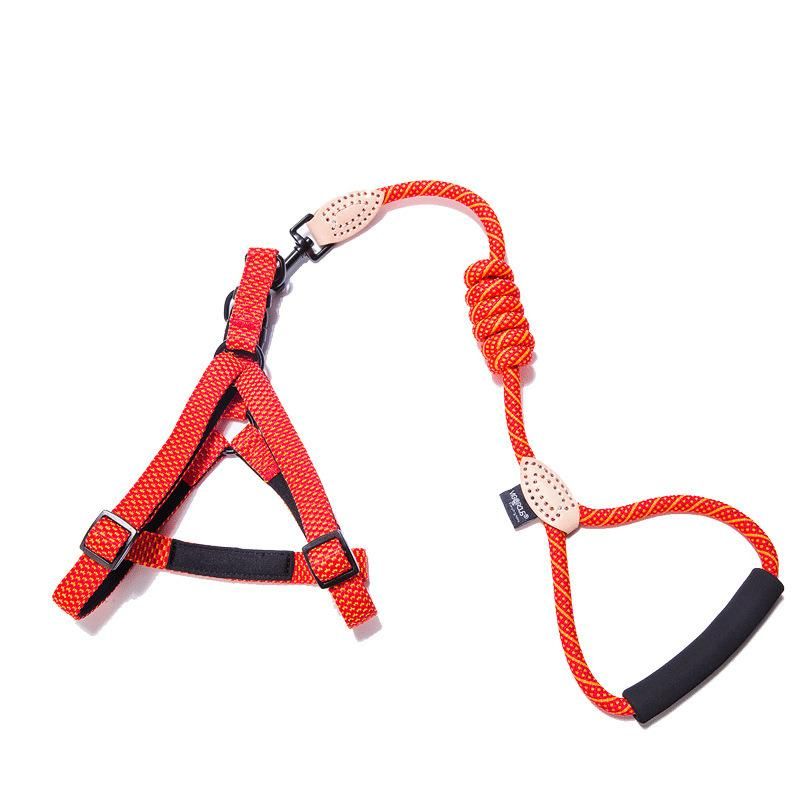 Wholesale Rainbow Jacquard Relective Pet Accessories Dog Harness Dog Leash Pet Product