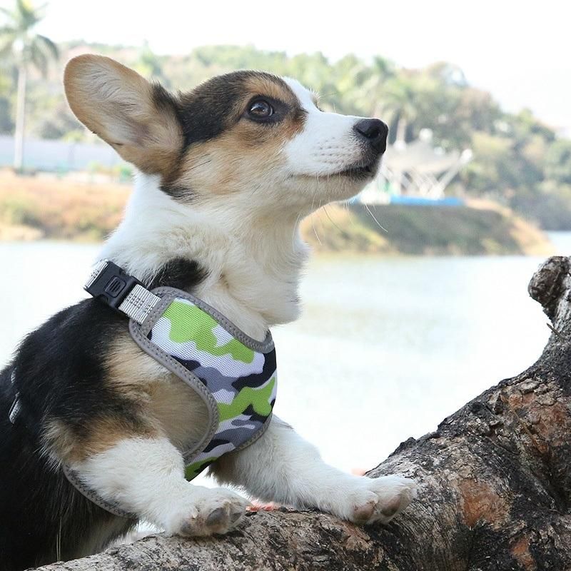 Autumn Winter Customized Logo, Reflective Soft Webbing Nylon Dog Harness//