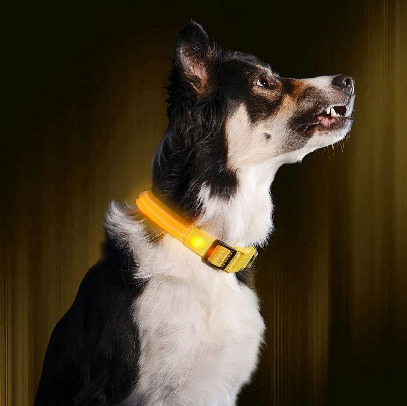 User-Friendly, Comfortable and Fully Adjustable LED Dog Collar