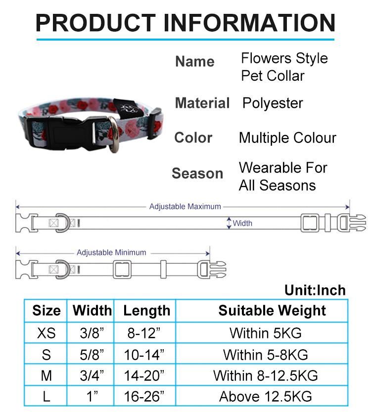 Pet Products Nylon Leather Dog Collar Leash Set with Custom Paper Card Packaging