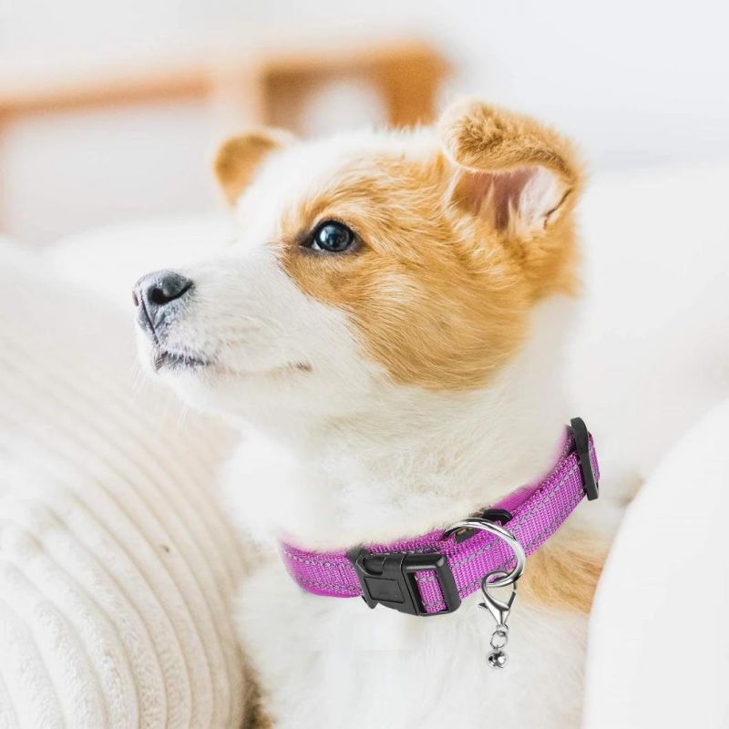 Lightweight Outdoor Training Dog Collars