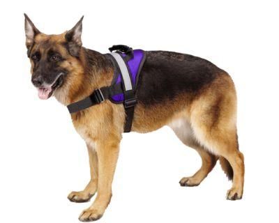 3m Reflective Anti-Tear 7 Colors Big Dog Collar Harness
