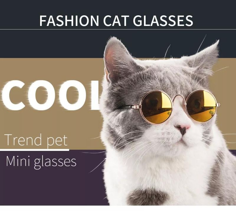 Pet Cat Glasses for Photos Props Accessories Little Dog Cat Eye Wear Sunglasses Pet Supplies Toy