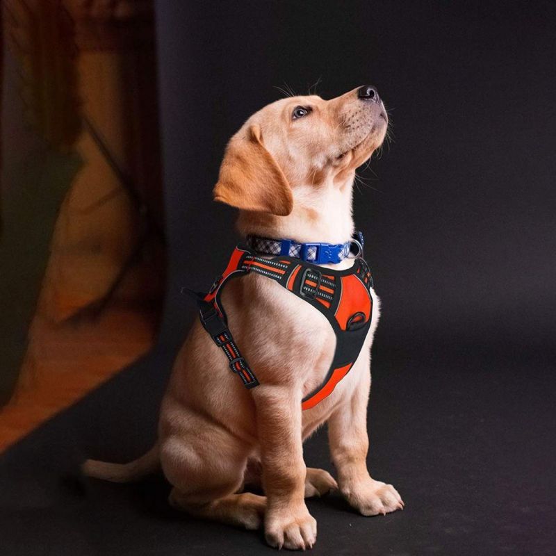 Easy Control Handle for Outdoor Walking Training Pet Harness