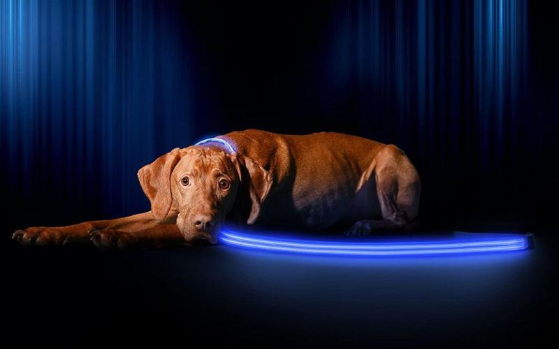 Easy-to-Use Clips LED Dog Collar