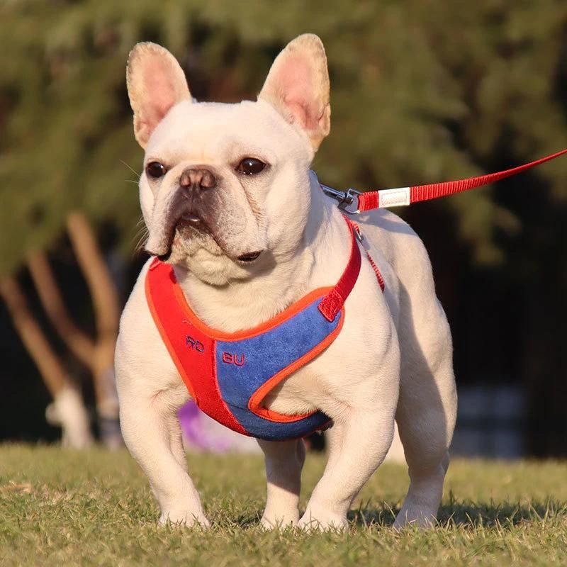 Custom Design Pet Dog Cat Puppy Safe Comfortable Luxury Neoprene No Pull Dog Collar Leash