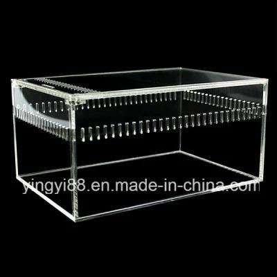 Yyb Acrylic Reptile Terrarium Habitat for Sale