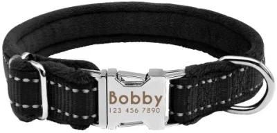 Soft Padded Personalized Dog Collar