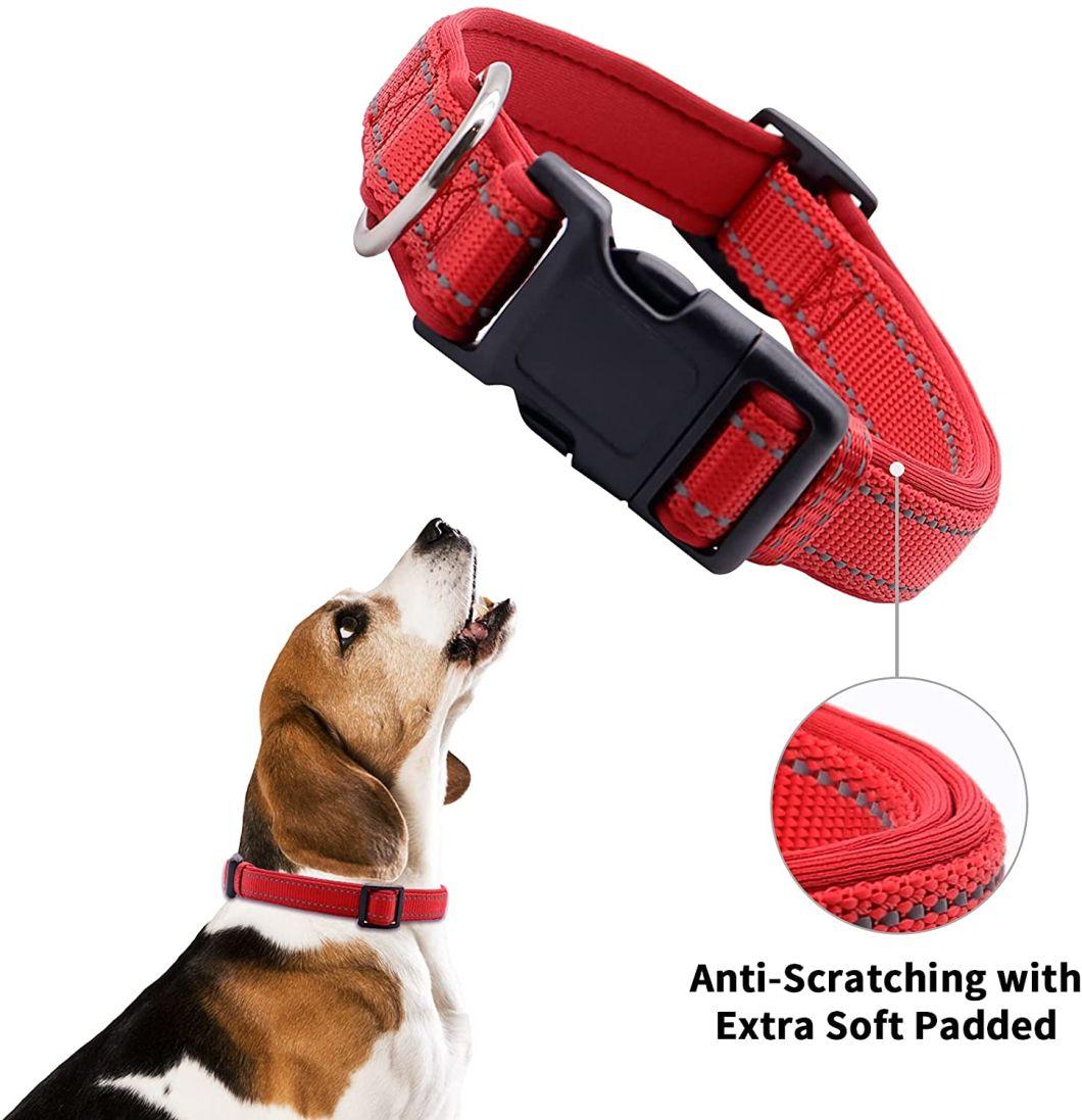 Highly Reflective Nylon Dog Collar with Matching Leash with Fast Delivery