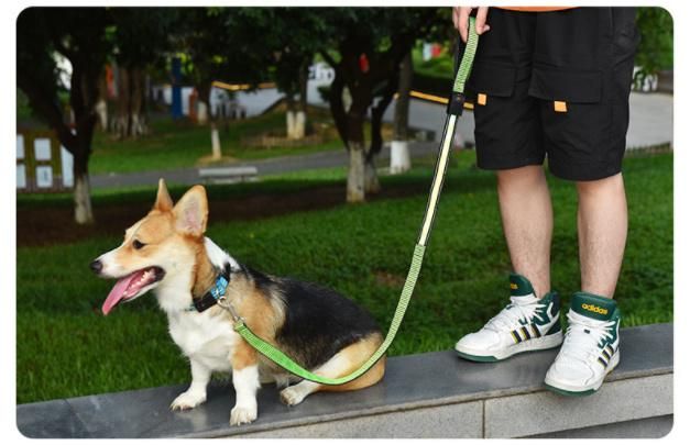 Pet Dog Collar Night Safety Flashing Glow in The Dark Dog Leash Dogs Luminous Fluorescent Collars Pet Supplies