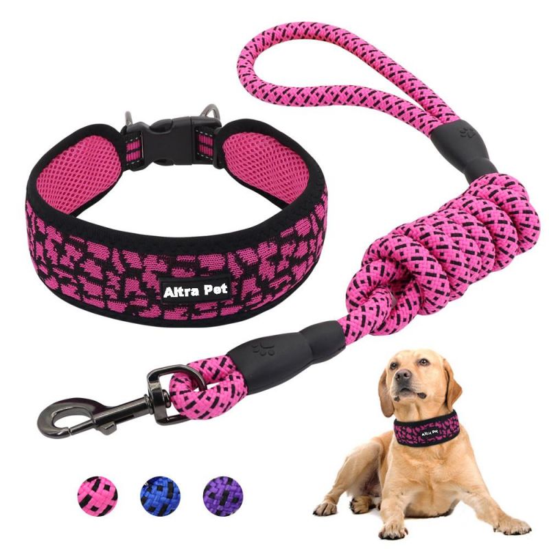 Pet Supplies Mesh Padded Wide Luxury Cute Dog Collar with Leashes, Customized Nylon Braided Rope Dog Pet Leash