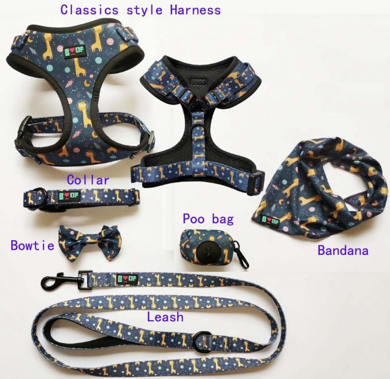Pet Products Customized Dogs Harness Set Harness Adjustable Multi-Design Pattern Dog Porducts Set