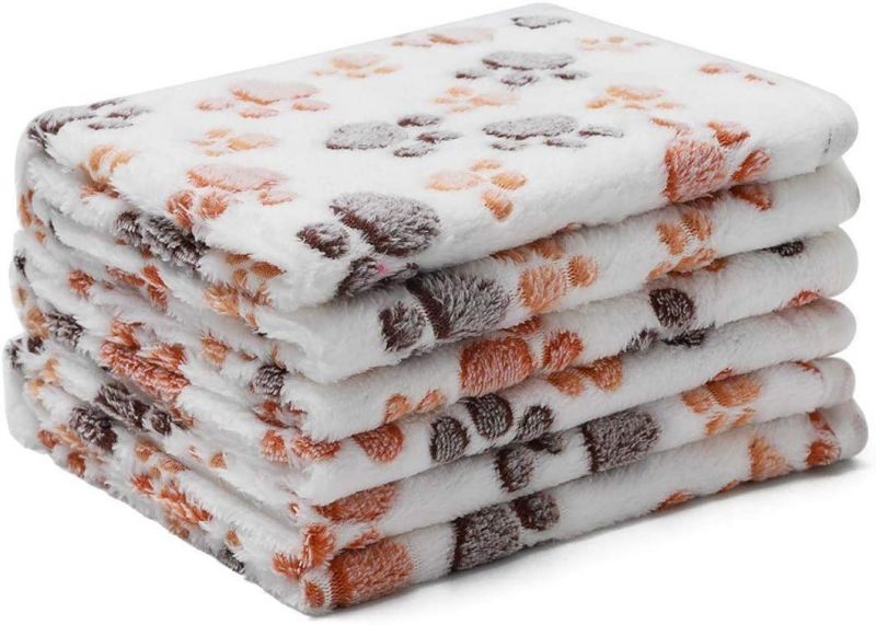 100% Double-Sided Coral Velvet Textures Soft Comfortable Pet Blanket