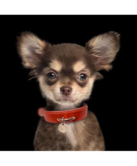 Customized Fashion Design Leather Dog Collar