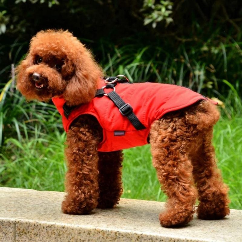 Easy to Wear Zipper Design Dog Coat