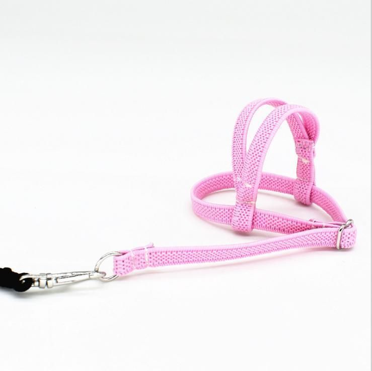 Light Release Traction Rope Peony Mystery Wind Small Sun Walking Bird Release Rope Parrot Flying Harness Rope Pet Products