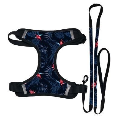 How to Stop Your Dog Pulling on The Lead Harness