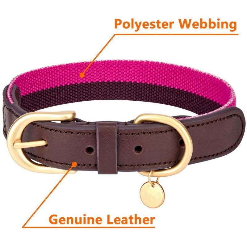 8 Colors Polyester Fabric Soft Genuine Leather Webbing 3/4" Wide Dog Collar in Pink Grey, Small, Neck 12"-15", Adjustable Collars Dogs