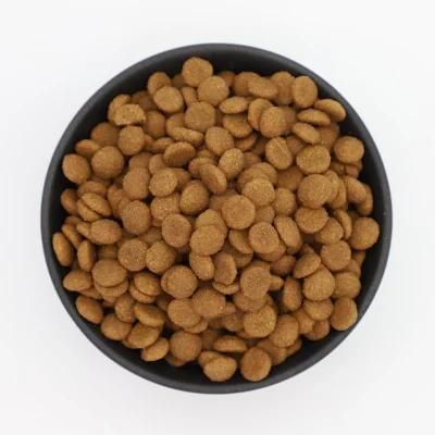 Wholesale Protein Rich Puppy Dry Food Easy to Digest