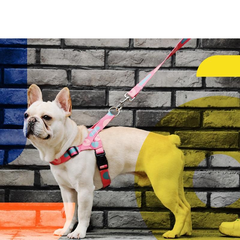 Dog Harness Manufacturer Designer Pet Harness Vest Adjustable Polyester Step in Dog Harness with Custom Design