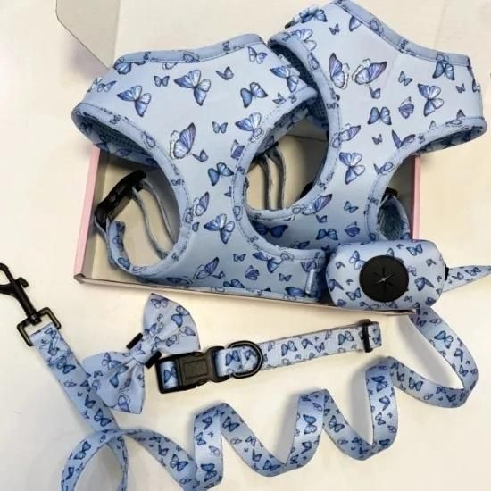 Custom Logo Dog Harness with Matching Collar, Lead, Poop Bag Holder Bandana and Bow Tie, Dog Harness