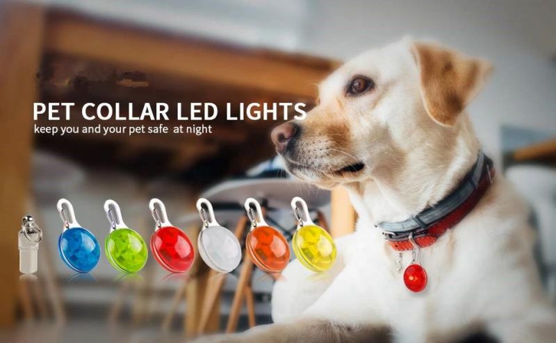 Dog Cat Pet Collar Light 6PCS, Waterproof LED Dog Collar Safety Night Walking Lights Keychain with Stainless Steel Carabiner, ID Tags, Battery Included (6 PCS)