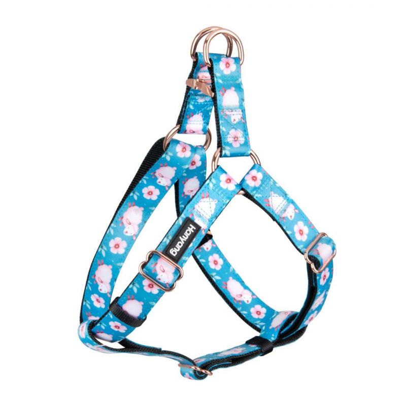 Amazon Pawz Road Leopard Pet Leash Collar Harness Set