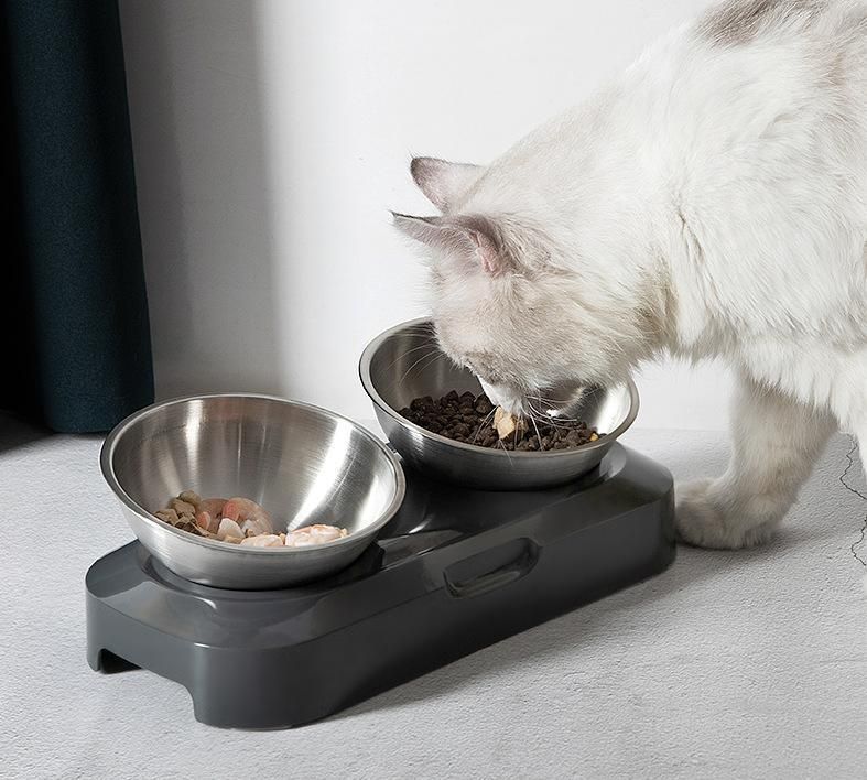 Dog Products, Tilted Elevated Dog Cat Feeding Bowls: Raised Cat Bowl with 2 Stainless Steel Bowls for Water and Food, Suitable for Kitty and Puppy