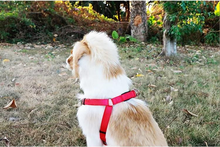 Amazon High Quality Outdoor Triangle Style Nylon Webbing Dog Harness, Colorful Adjustable Custom Logo Dog Harness