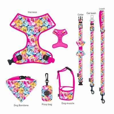Luxury Pet Accessories 7 in 1 OEM&ODM Soft Padded Polyester Personalize Dog Leash Set