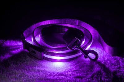 Safety LED Dog Leash - USB Rechargeable Flashing Light LED Dog Leash
