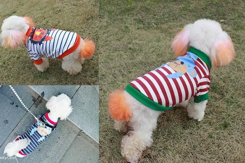 Warm and Comfortable Appearal Pet Clothing Dog Designer Clothes Pet Cloth From China