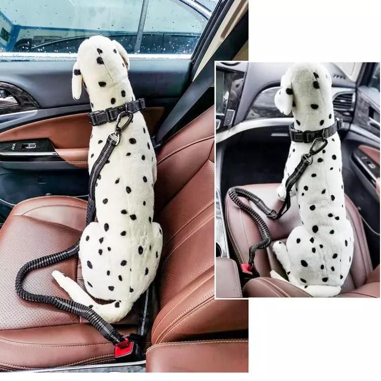 Hot Selling Pet Leash Dog Leads Can Be Used as Dog Seat Belt