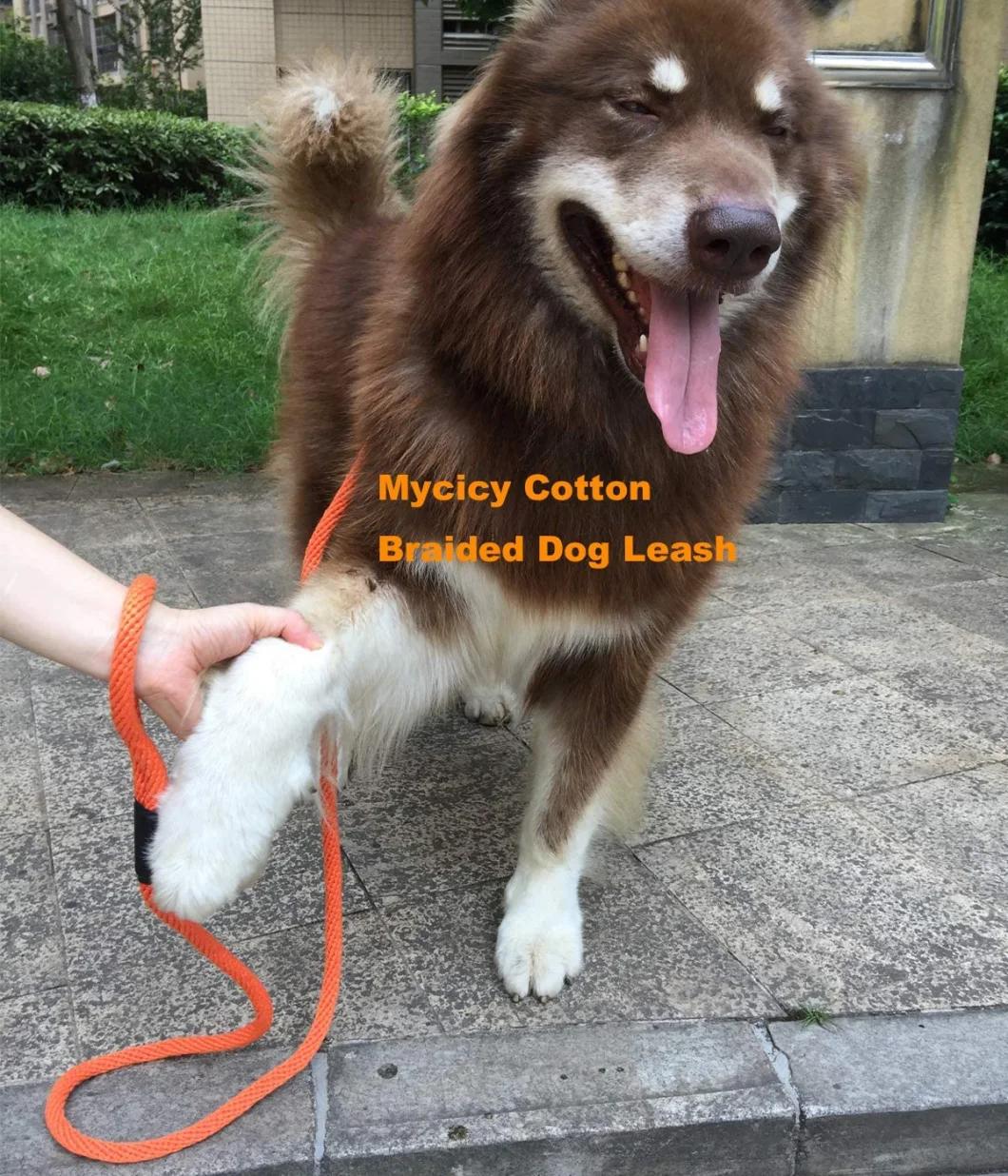 Strong Braided Lead Leash with Multi-Colors