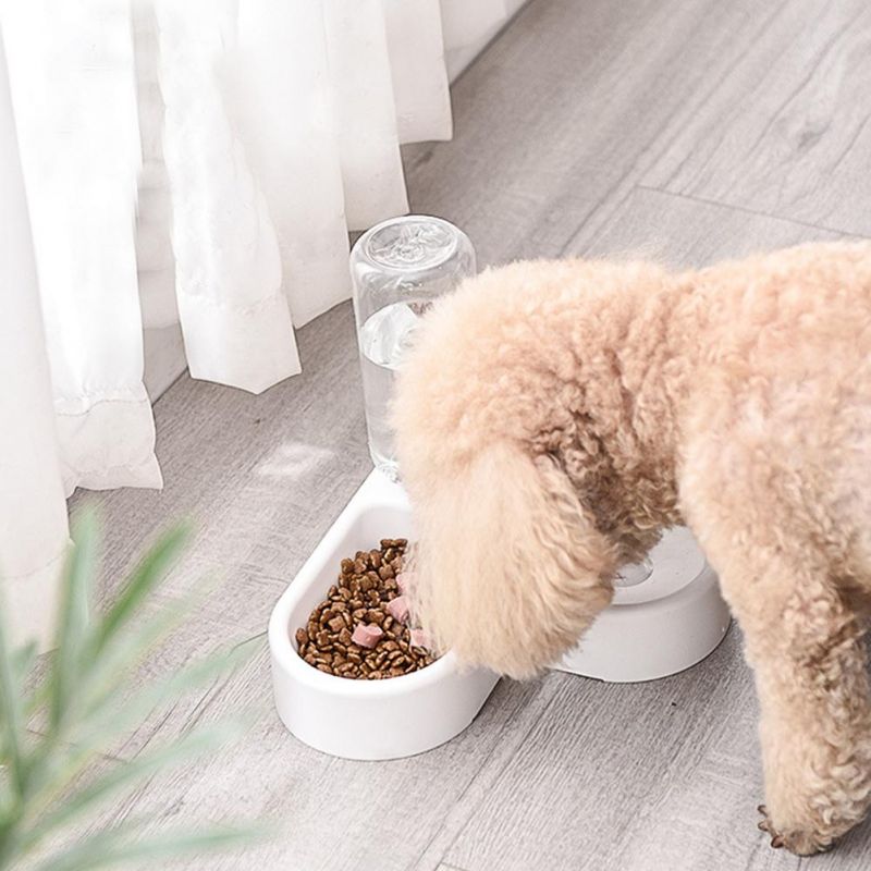 Corner Dog Bowl Cat Bowl Dog Automatic Drinking Bowl Pet Double Food Feeder