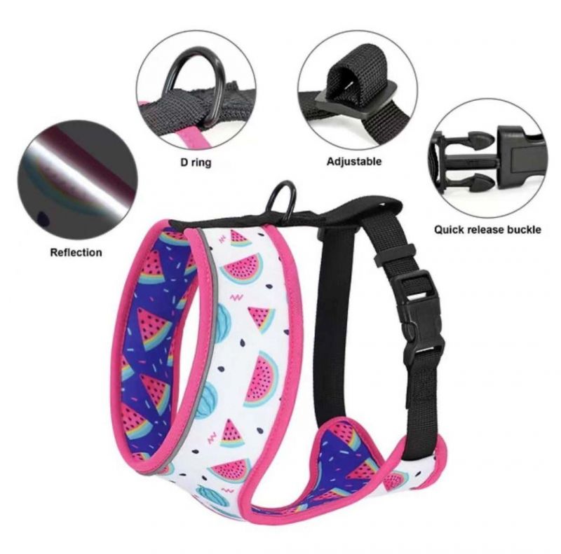 High Quality Soft Custom Printed Mesh Padded Reversible Dog Harness