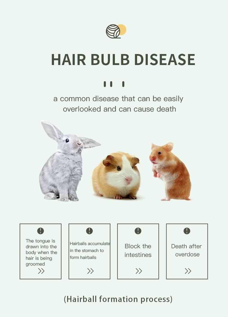 Yee Reduce Bad Breath Food Cheap Price Pet Products