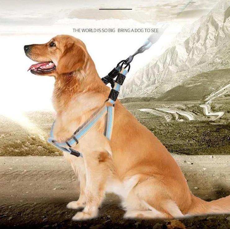 Amazon Hot Sale Breathable Lightweight Training Outdoor Harness Pet Product