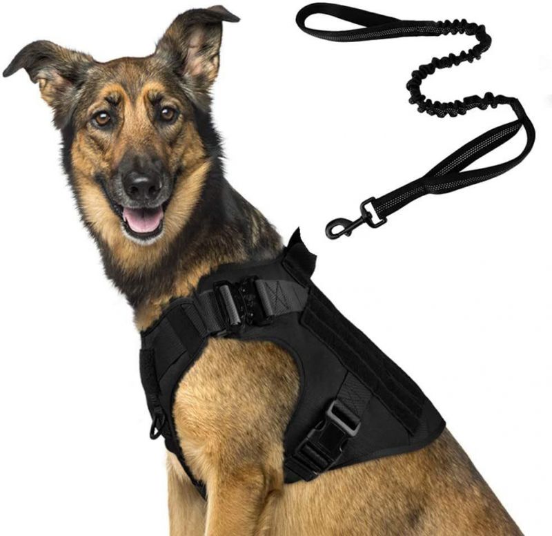 Molle Leash for Service & Training Military Dogs Adjustable Training Hunting Dog Tactical Leash